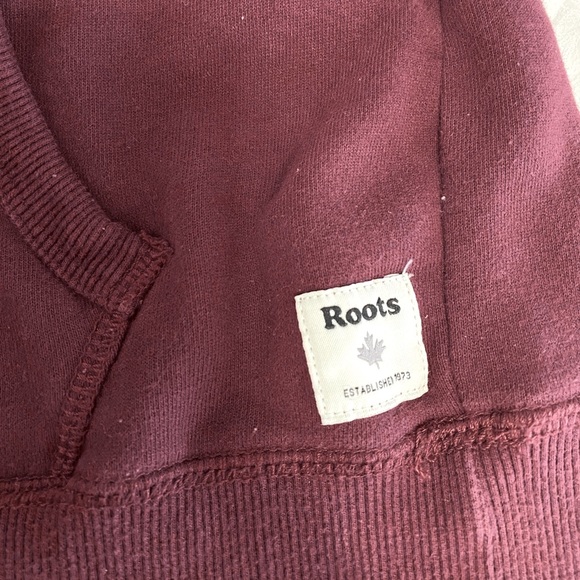 roots cooper beaver pullover hoodie - Picture 6 of 6